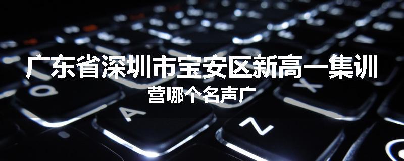 广东省深圳市宝安区新高一集训营哪个名声广