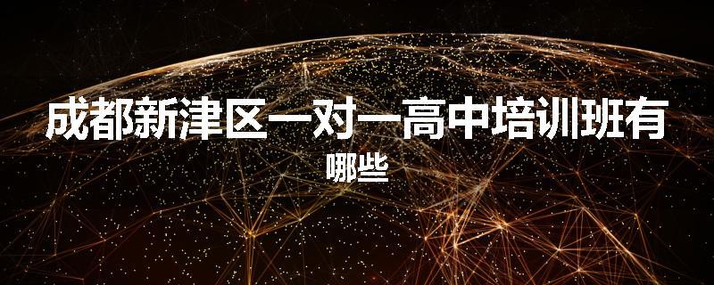 成都新津区一对一高中培训班有哪些