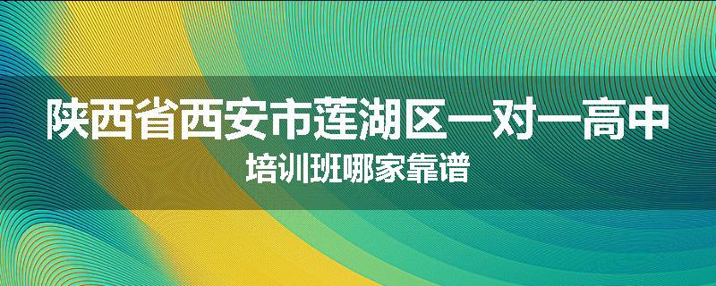 陕西省西安市莲湖区一对一高中培训班哪家靠谱
