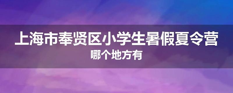 上海市奉贤区小学生暑假夏令营哪个地方有