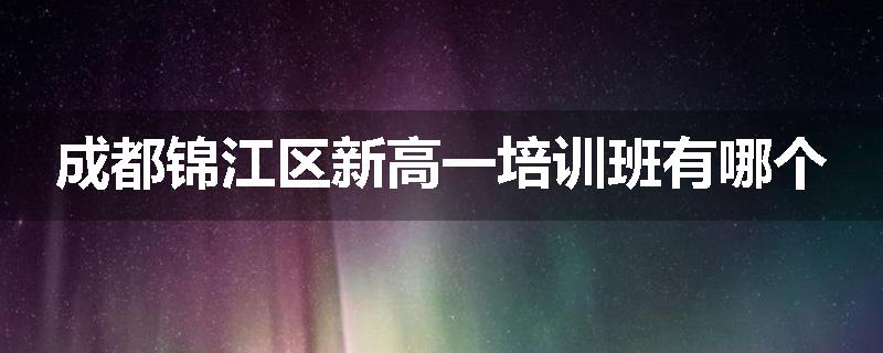 成都锦江区新高一培训班有哪个