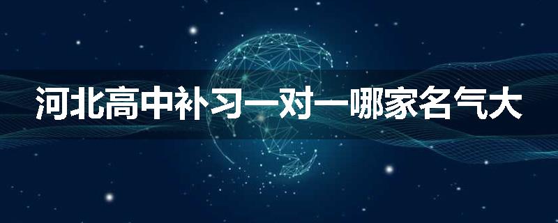 河北高中补习一对一哪家名气大
