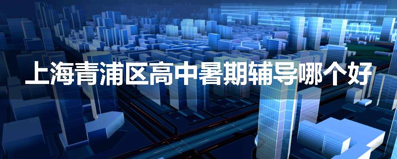 上海青浦区高中暑期辅导哪个好