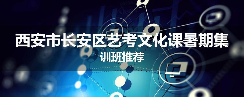 西安市长安区艺考文化课暑期集训班推荐