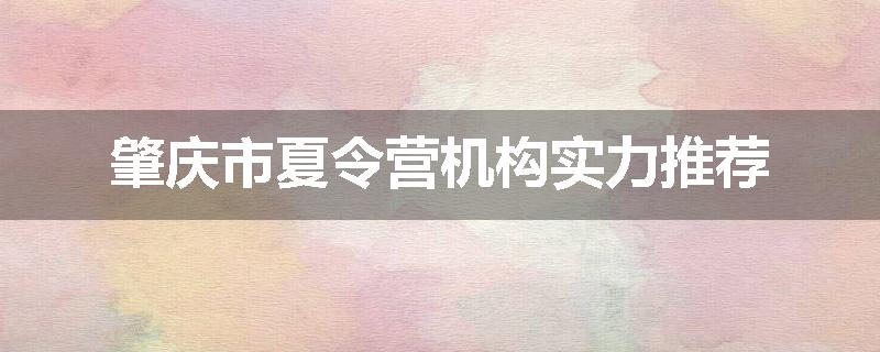 肇庆市夏令营机构实力推荐