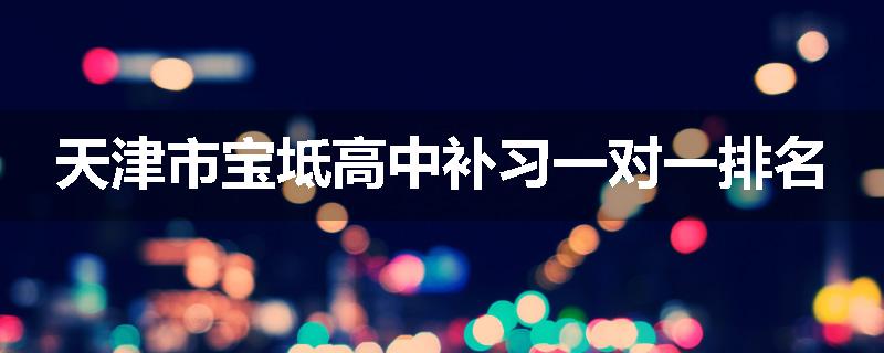 天津市宝坻高中补习一对一排名