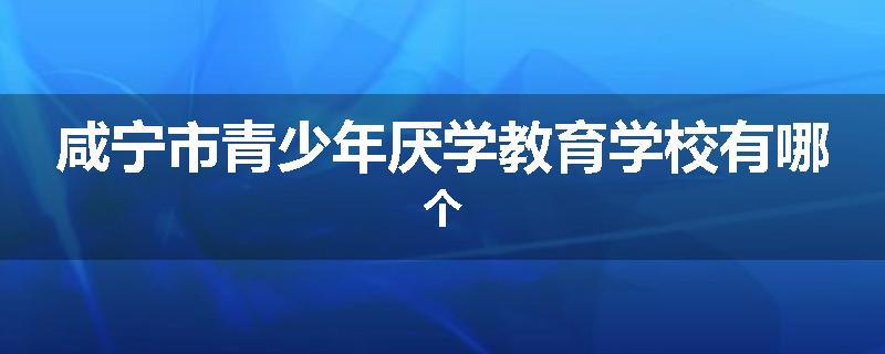 咸宁市青少年厌学教育学校有哪个