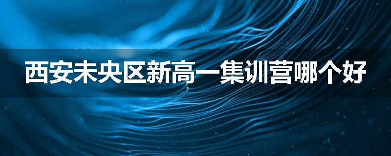西安未央区新高一集训营哪个好