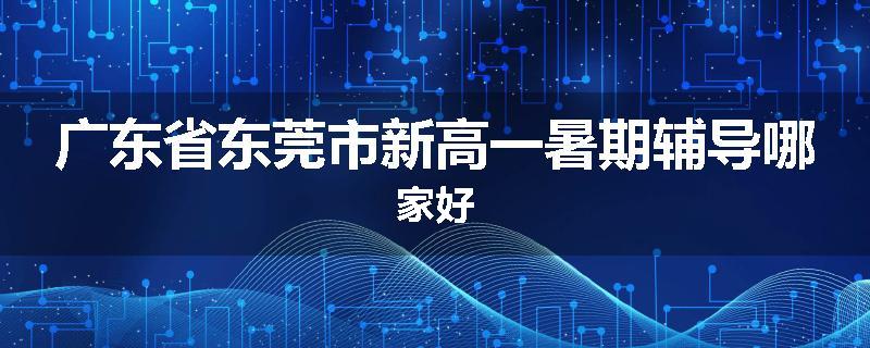 广东省东莞市新高一暑期辅导哪家好