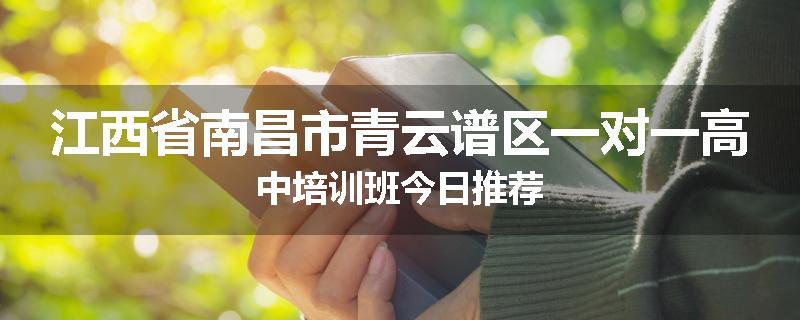 江西省南昌市青云谱区一对一高中培训班今日推荐