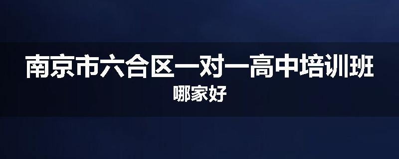 南京市六合区一对一高中培训班哪家好