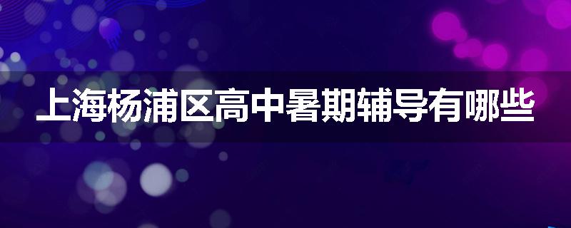 上海杨浦区高中暑期辅导有哪些