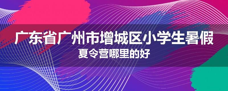 广东省广州市增城区小学生暑假夏令营哪里的好
