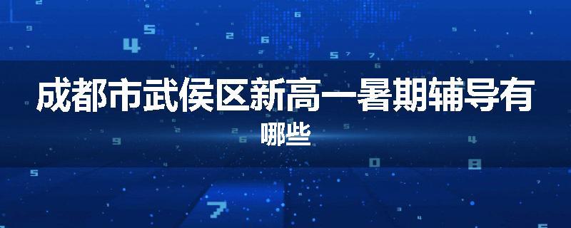 成都市武侯区新高一暑期辅导有哪些