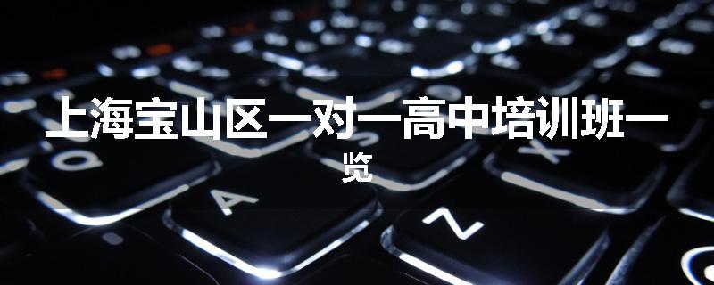 上海宝山区一对一高中培训班一览