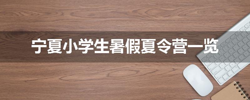 宁夏小学生暑假夏令营一览