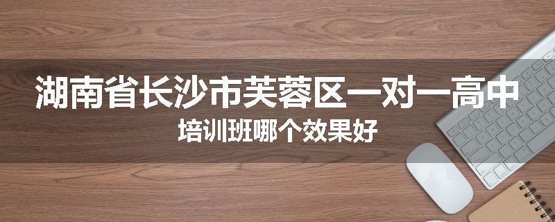 湖南省长沙市芙蓉区一对一高中培训班哪个效果好