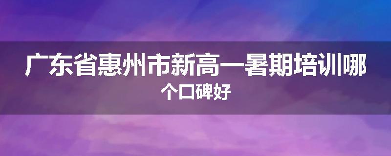 广东省惠州市新高一暑期培训哪个口碑好
