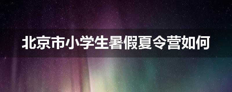 北京市小学生暑假夏令营如何