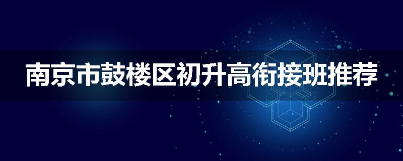 南京市鼓楼区初升高衔接班推荐