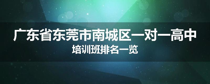 广东省东莞市南城区一对一高中培训班排名一览