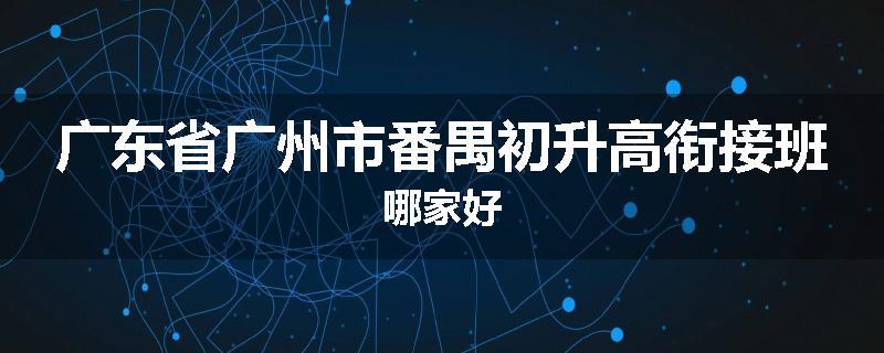 广东省广州市番禺初升高衔接班哪家好