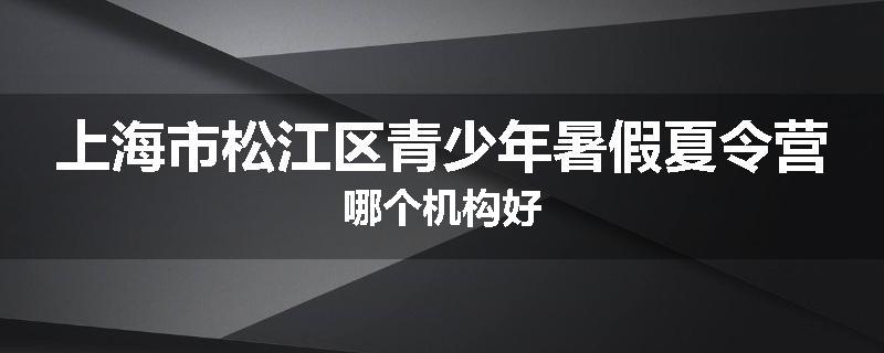 上海市松江区青少年暑假夏令营哪个机构好