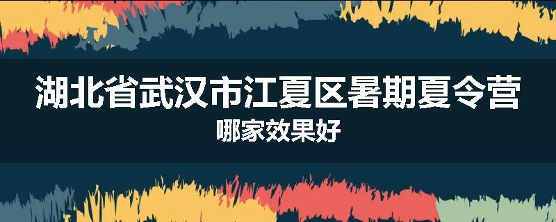 湖北省武汉市江夏区暑期夏令营哪家效果好