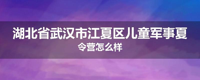 湖北省武汉市江夏区儿童军事夏令营怎么样
