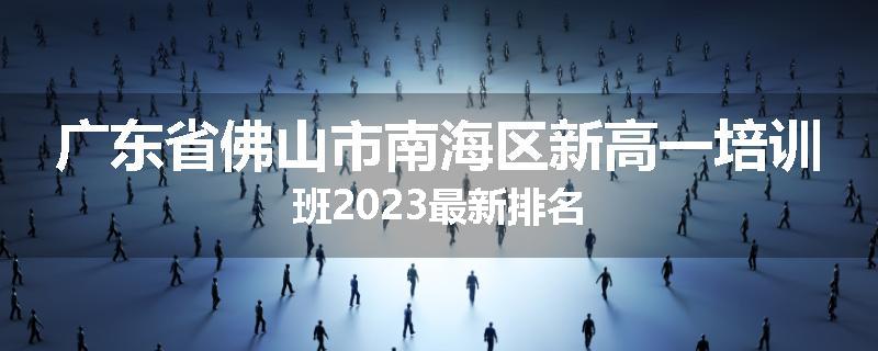 广东省佛山市南海区新高一培训班2023最新排名