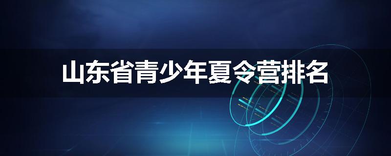 山东省青少年夏令营排名
