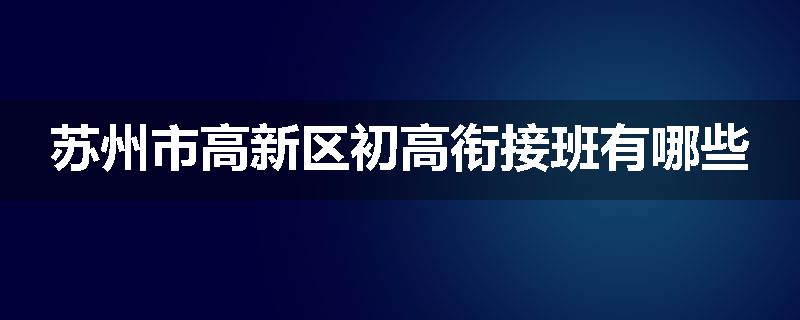 苏州市高新区初高衔接班有哪些
