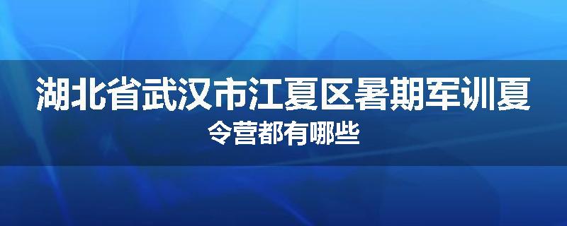 湖北省武汉市江夏区暑期军训夏令营都有哪些