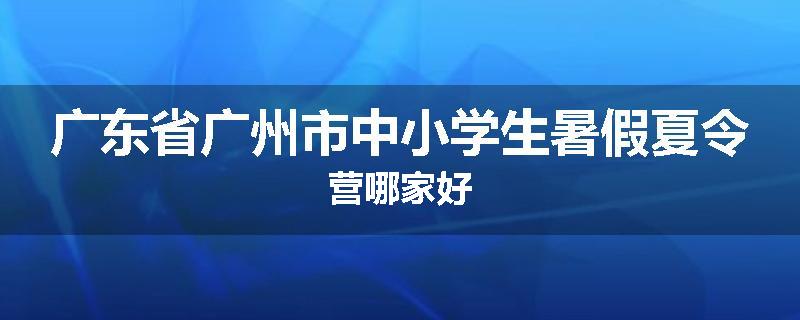 广东省广州市中小学生暑假夏令营哪家好