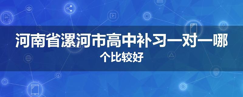 河南省漯河市高中补习一对一哪个比较好
