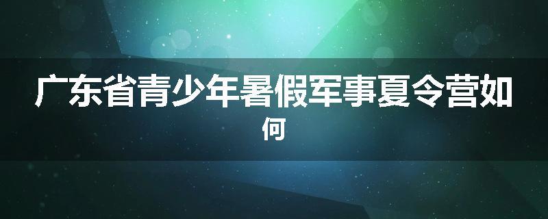 广东省青少年暑假军事夏令营如何