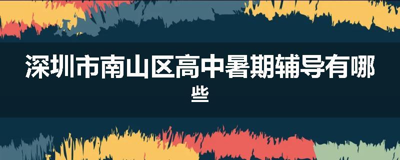 深圳市南山区高中暑期辅导有哪些