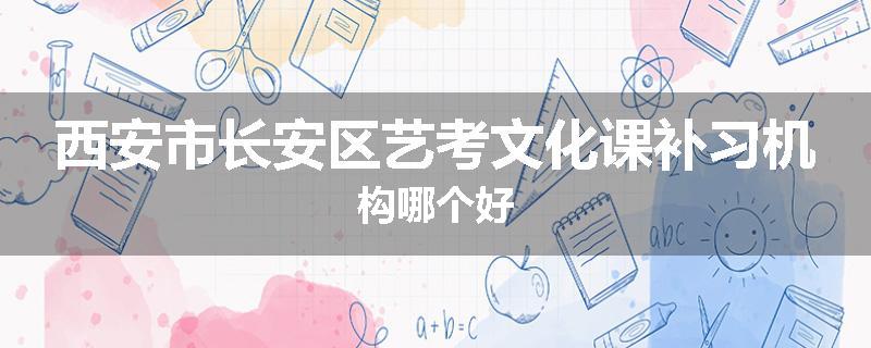 西安市长安区艺考文化课补习机构哪个好