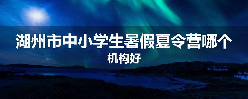湖州市中小学生暑假夏令营哪个机构好