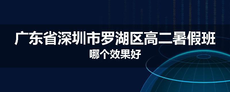 广东省深圳市罗湖区高二暑假班哪个效果好