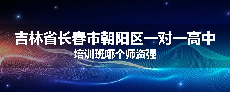 吉林省长春市朝阳区一对一高中培训班哪个师资强