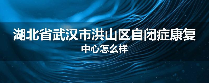湖北省武汉市洪山区自闭症康复中心怎么样