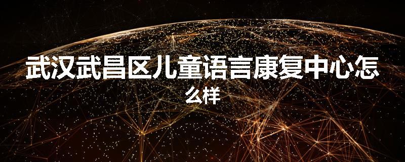 武汉武昌区儿童语言康复中心怎么样