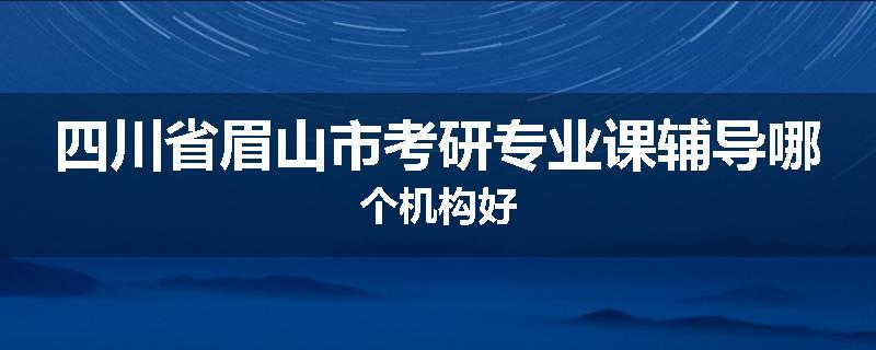 四川省眉山市考研专业课辅导哪个机构好