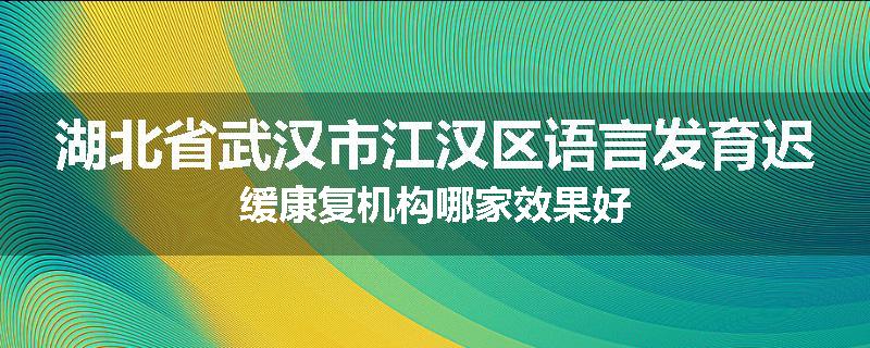 湖北省武汉市江汉区语言发育迟缓康复机构哪家效果好