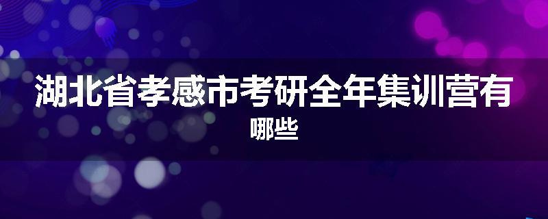 湖北省孝感市考研全年集训营有哪些