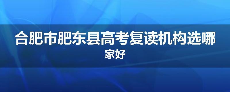 合肥市肥东县高考复读机构选哪家好