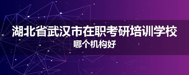 湖北省武汉市在职考研培训学校哪个机构好
