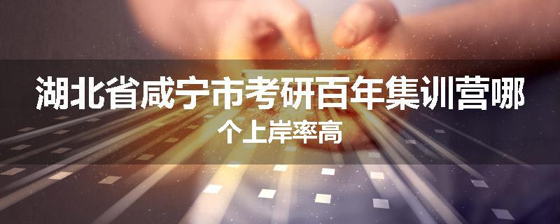 湖北省咸宁市考研百年集训营哪个上岸率高