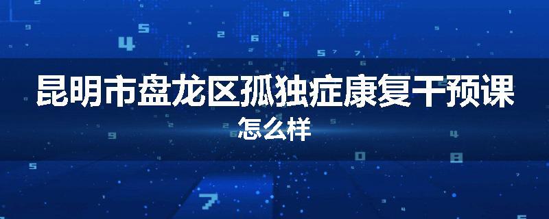 昆明市盘龙区孤独症康复干预课怎么样